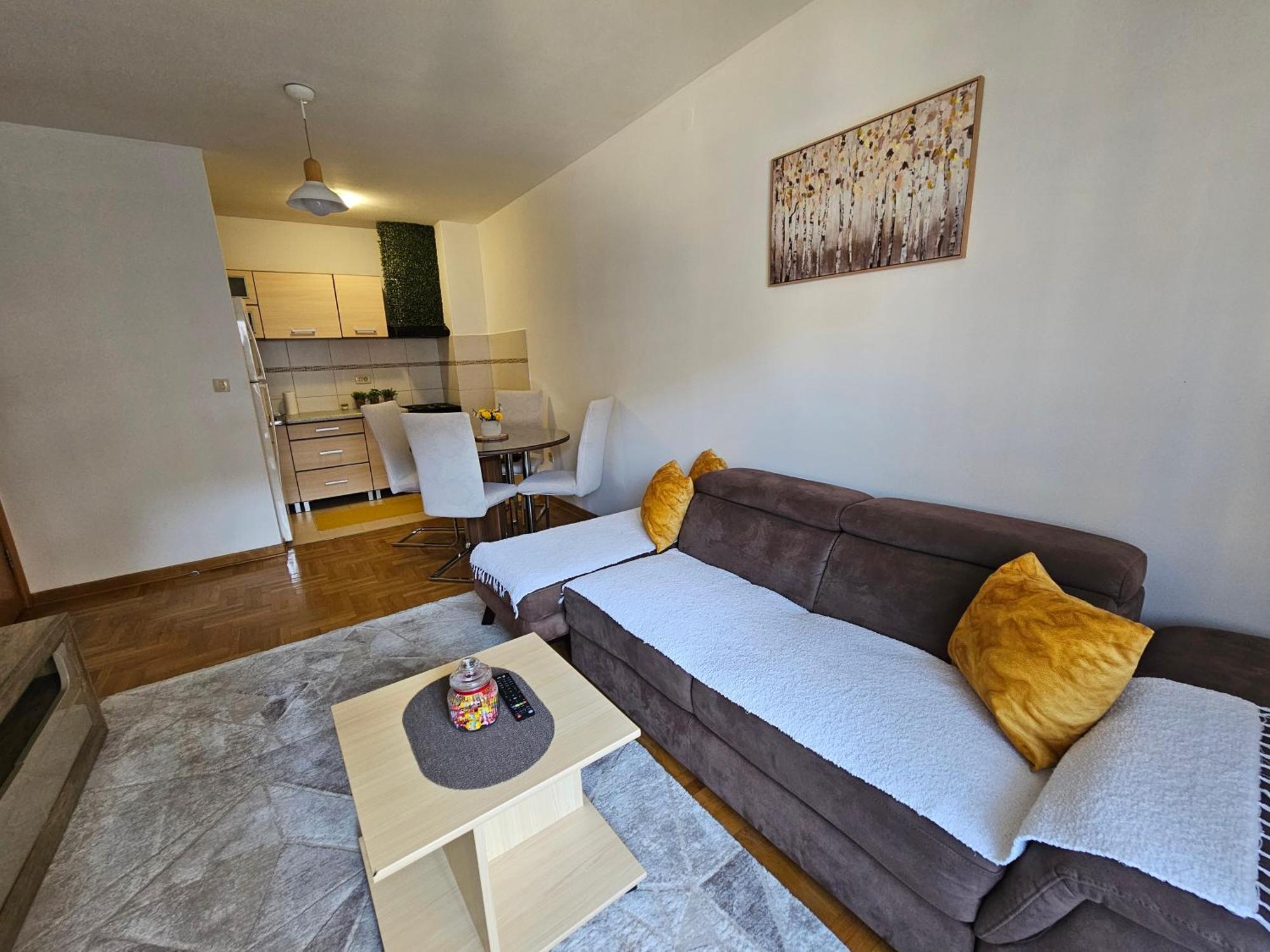 Luca Apartman Podgorica Kültér fotó